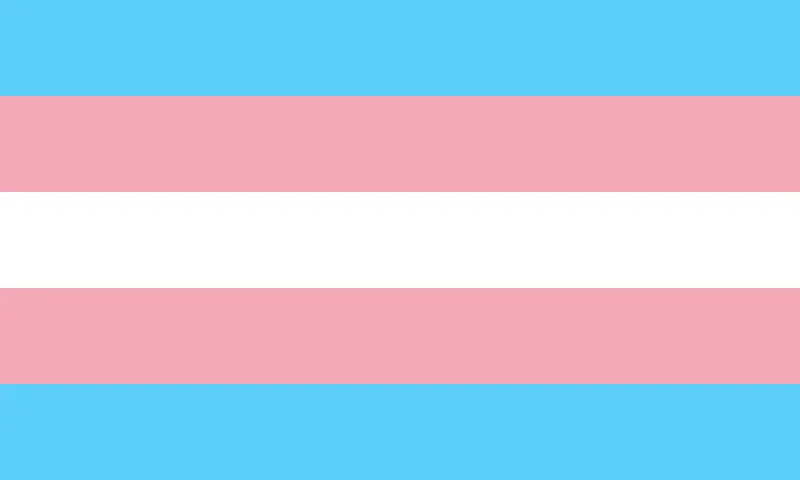 trans flag